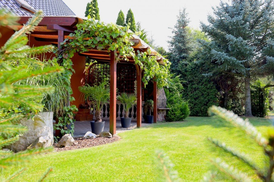 Blick zur Terrasse Einfamilienhaus Machern OT