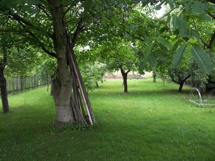 Ansicht Wohngrundst�ck Belgershain