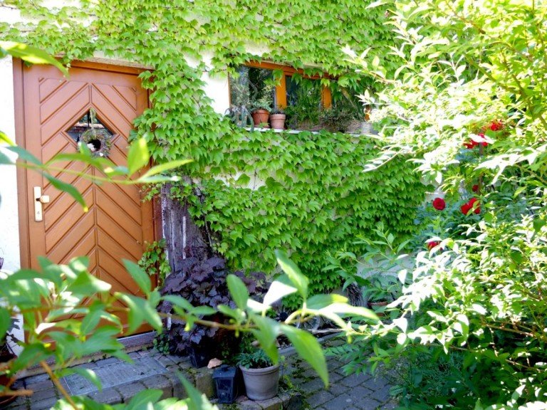 Bitte, treten Sie ein! Groitzsch Einfamilienhaus +++ Ein vertr�umtes Kleinod mit paradiesisch-nat�rlichem Garten in Groitzsch +++