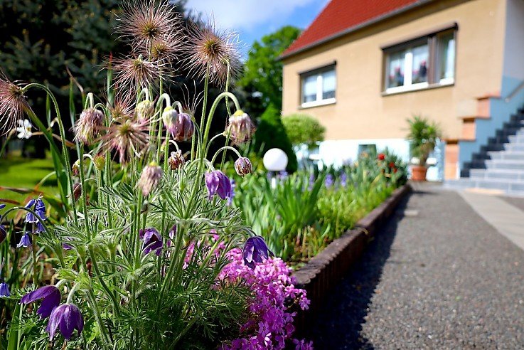 Foto Vollunterkellertes, solides Einfamilienhaus mit tollen, gro�en Garten zum Wohlf�hlen, Austoben und gl�cklich sein.